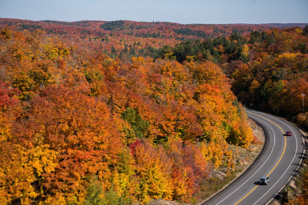 Hwy 60 Algonquin PP Peak Fall Colours