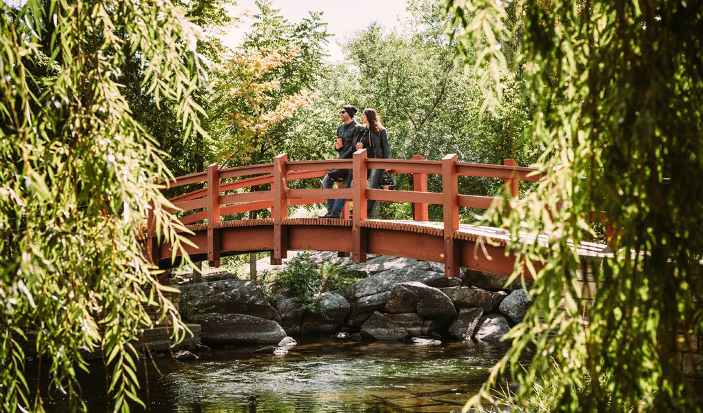 Coffee Break in Smith Falls on the bridge