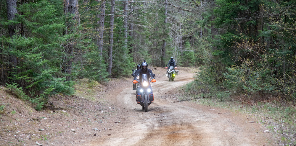 The New Timber Trail Adventure Loop – A tribute to the road builders ...