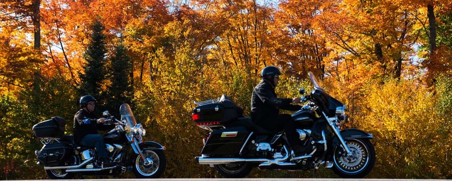 Motorcycles riding past fall colours